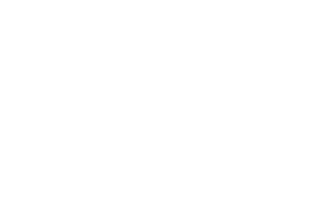 Превью шаблона презентации ДВФУ