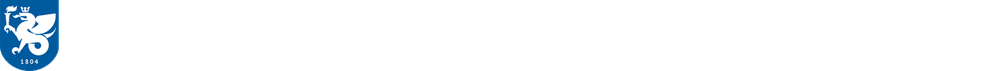 Превью шаблона презентации КФУ