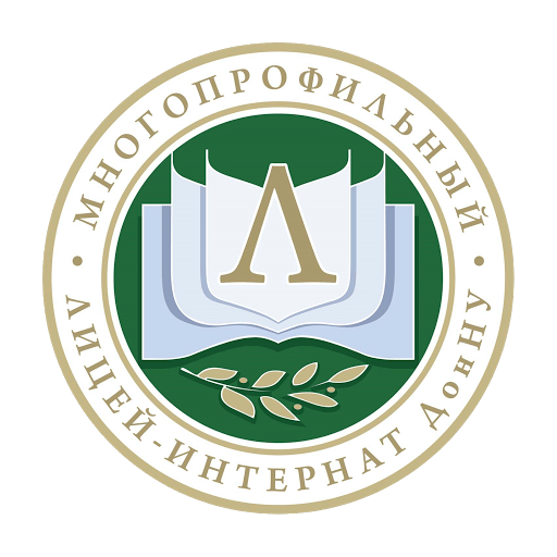 Превью шаблона презентации Лицей-интернат ДонГУ