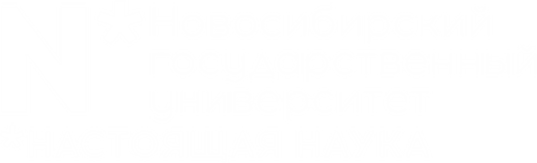Превью шаблона презентации НГУ