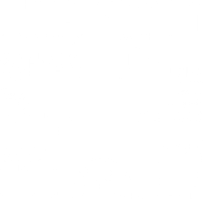 Превью шаблона презентации НГУ