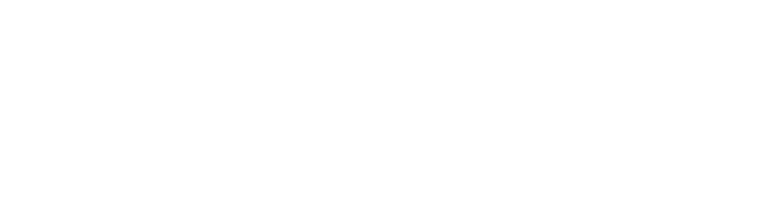 Превью шаблона презентации ПИМУ