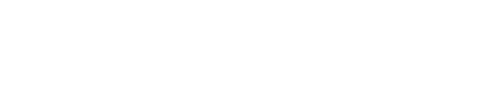 Превью шаблона презентации РГИСИ