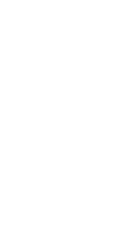 Превью шаблона презентации СибУПК