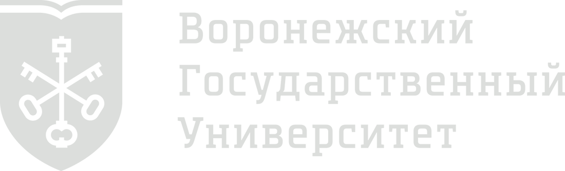 Превью шаблона презентации ВГУ